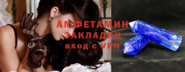прущие грибы Осинники
