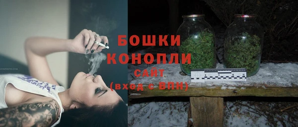 прущие грибы Осинники