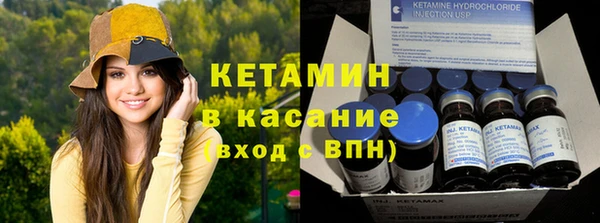 прущие грибы Осинники