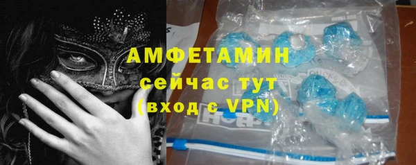 прущие грибы Осинники
