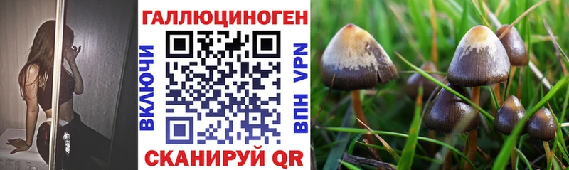 Псилоцибиновые грибы GOLDEN TEACHER  Поронайск 